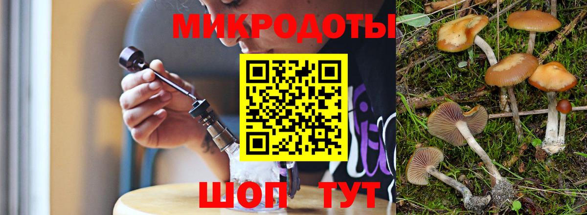 Псилоцибиновые грибы прущие грибы  Галлюциногенные грибы Psilocybe  Сунжа  Вход с VPN 