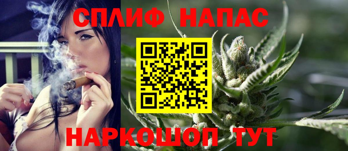 Каннабис сатива Сунжа